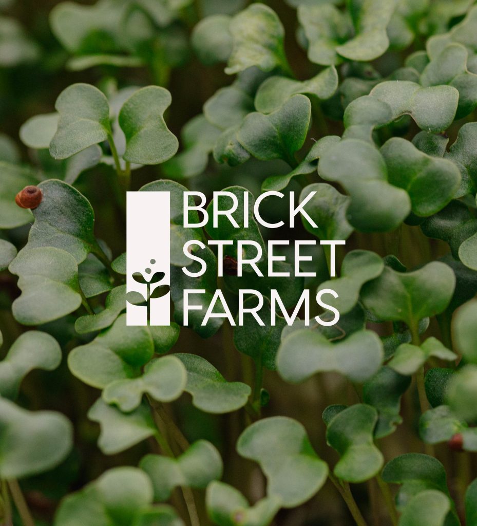 Brick Street Farms Logo Graphic